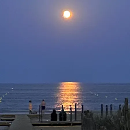 Apartment Au Balcon De La Mer, A Marseillan (Herault)